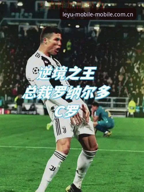 乐鱼体育平台新版界面合并注册充值入口，LEYU手机版登录流程实测仅需两分钟